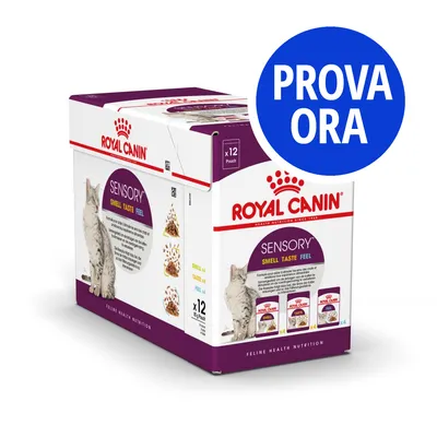 Royal Canin Sensory Smell Taste Feel, confezione da 12 buste per gatti. Testo visibile: PROVA ORA.