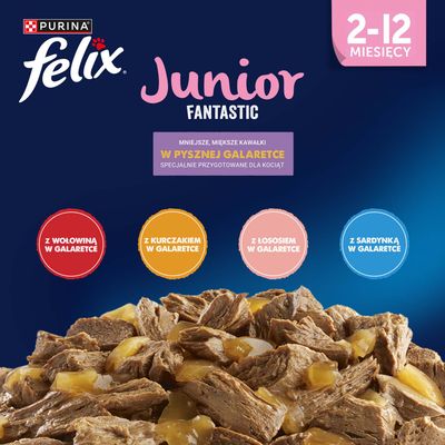 Purina Felix Junior Fantastic, 2–12 miesięcy. Małe, miękkie kawałki w pysznej galaretce: z wołowiną, kurczakiem, łososiem lub sardynką. Specjalnie przygotowane dla kociąt.