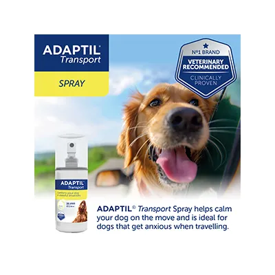 ADAPTIL Transport Spray, veterinary recommended, clinically proven. Helps calm your dog on the move and is ideal for dogs that get anxious when travelling.