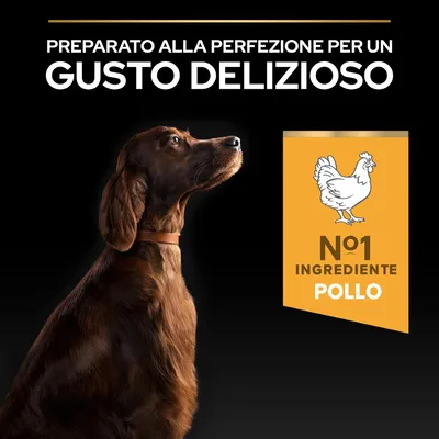 Preparato alla perfezione per un gusto delizioso. Nº1 ingrediente pollo. Immagine di un cane e simbolo del pollo.