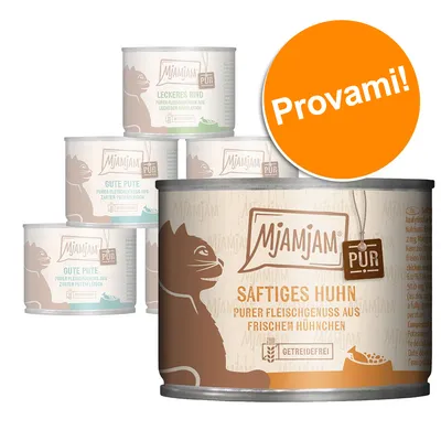 Scatolette MjAMjAM PUR per gatti, vari gusti visibili: Saftiges Huhn, Leckeres Rind, Gute Pute. Etichetta arancione con testo: Provami! Testo in tedesco sulle confezioni.
