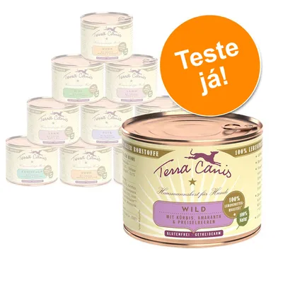 Várias latas de comida Terra Canis para cães, sabores visíveis: Wild, Huhn, Rind, Lamm, Pute, Kaninchen. Texto em destaque: 'Teste já!'. Várias latas de comida Terra Canis para cães, sabores visíveis: Wild, Huhn, Rind, Lamm, Pute, Kaninchen. Texto em destaque: 'Teste já!'.