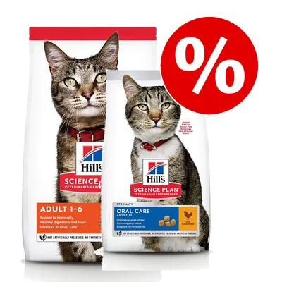 Две упаковки корма для кошек Hill's Science Plan: Adult 1–6 и Oral Care Adult 1+ Chicken, изображение кота на каждой упаковке, красный значок процента скидки