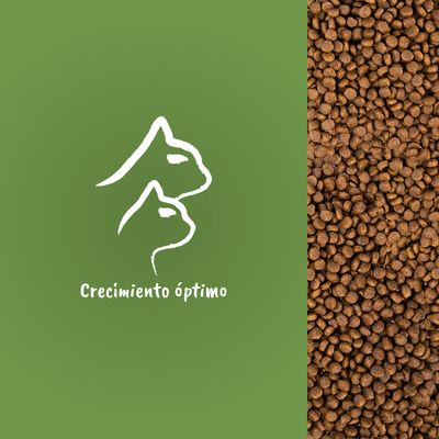 Texto visible: Crecimiento óptimo. Imagen de siluetas de perro y gato sobre fondo verde junto a croquetas de pienso marrón.