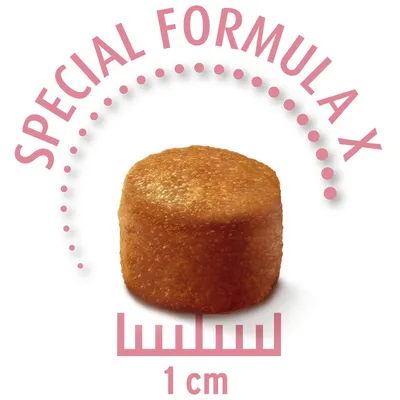 Kroketform med teksten 'Special Formula X', diameter 1 cm, synlig målestok.