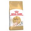 Multipack risparmio! 2 x Royal Canin Feline Crocchette per gatti 2 x 10 kg Sphynx Adult