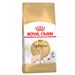 Multipack risparmio! 2 x Royal Canin Feline Crocchette per gatti 2 x 10 kg Sphynx Adult