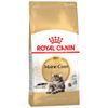 Multipack risparmio! 2 x Royal Canin Feline Crocchette per gatti 2 x 10 kg Maine Coon Adult