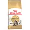 Royal Canin Maine Coon Adult pour chat 2 kg