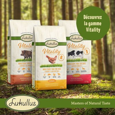 Sacs de croquettes Lukullus Vitality pour chiens adultes, 12 kg, variantes sanglier, poulet ou bœuf. Texte visible : « Découvrez la gamme Vitality » et « Masters of Natural Taste ».
