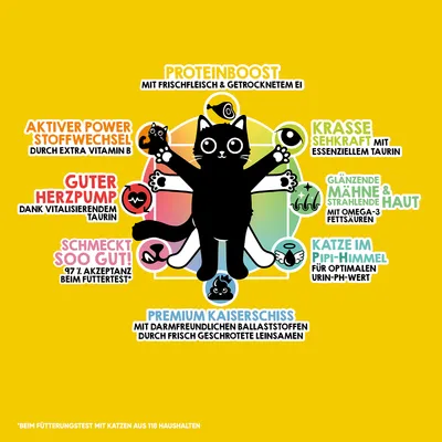 Grafik mit Katze und Produktvorteilen: Proteinboost, aktiver Stoffwechsel, gesunde Herzfunktion, hohe Akzeptanz, gute Verdauung, optimale Urinwerte, glänzende Haut und Fell, starke Sehkraft.