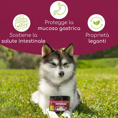 Wolfsbacher Natur Snack Stomaco & Intestino - 300 g