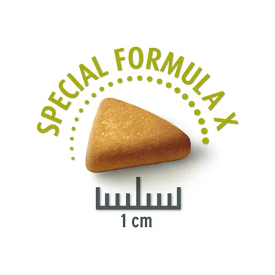 Croquette triangulaire, texte visible : SPECIAL FORMULA X, règle indiquant 1 cm sous la croquette.