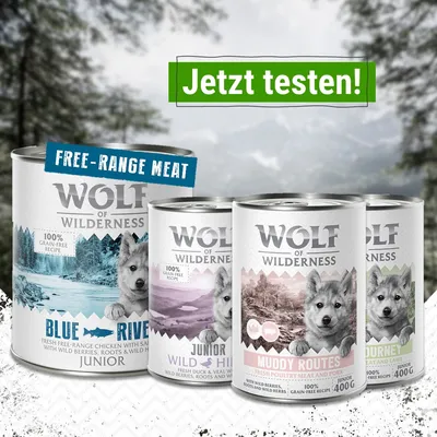 Wolf of Wilderness Junior, latas de comida húmida para cães. Variedades: Blue River, Wild Hills, Muddy Routes, Green Valley. Texto visível: 100% grain-free recipe, free-range meat. Peso: 400 g.