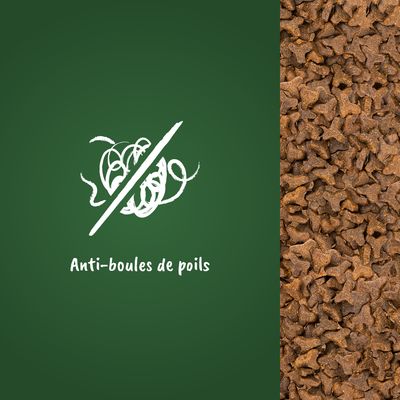 Texte visible : Anti-boules de poils, à côté de croquettes en forme d’étoile. Mention anti-boules de poils clairement affichée sur fond vert.