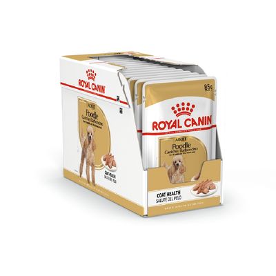 ROYAL CANIN ADULT Poodle wet food 85g pouches, visible text: Coat Health. Box with multiple sachets, image of a poodle and food on packaging.