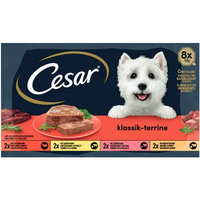 Cesar klassik-terrine, confezione da 8x150g. Immagine di terrina per cani, scritte in tedesco e francese sugli ingredienti naturali. Vari gusti indicati con icone animali. Cesar klassik-terrine, confezione da 8x150g. Immagine di terrina per cani, scritte in tedesco e francese sugli ingredienti naturali. Vari gusti indicati con icone animali.