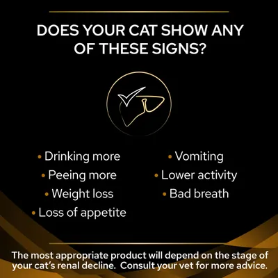 Teksti englanniksi: Does your cat show any of these signs? Drinking more, Peeing more, Weight loss, Loss of appetite, Vomiting, Lower activity, Bad breath. Lisäohje alareunassa.