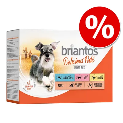 Briantos Delicious Paté Mixed Box. Getreidefreie Rezeptur, ohne Zuckerzusatz, keine künstlichen Aromen. Sorten: Lachs & Erbsen, Rind, Huhn. Für Erwachsene Hunde.