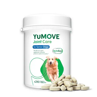 YuMOVE Joint Care for Senior Dogs, 240 tasty tablets, clinically proven joint supplement with ActivEase green lipped mussel, shown in a white tub with tablets displayed in front.