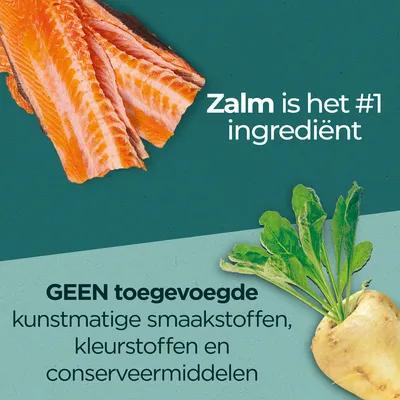 Zalm is het #1 ingrediënt. GEEN toegevoegde kunstmatige smaakstoffen, kleurstoffen en conserveermiddelen.