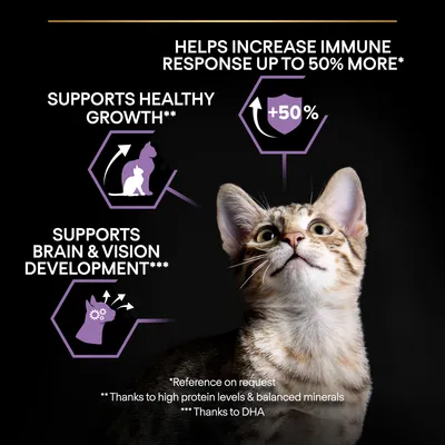 Tekst: Helps increase immune response up to 50% more, Supports healthy growth, Supports brain & vision development. Illustration af kat og ikoner med +50%. Engelsk tekst synlig.
