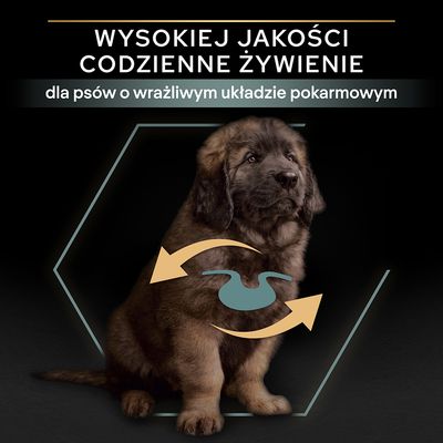 Wysokiej jakości codzienne żywienie dla psów o wrażliwym układzie pokarmowym – tekst na tle zdjęcia psa z graficznym symbolem żołądka i strzałkami.