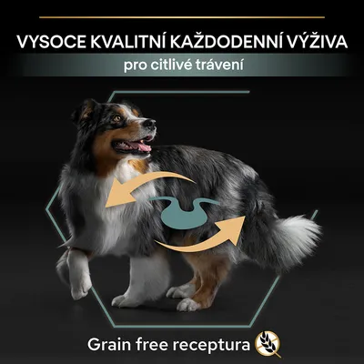 VYSOCE KVALITNÍ KAŽDODENNÍ VÝŽIVA pro citlivé trávení, Grain free receptura. Pes s grafickými šipkami a symbolem žaludku na těle.