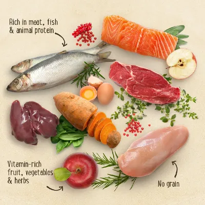 Kuvassa lihaa, kalaa, kananmunia, maksa, kanafilee, omena, bataatti, yrttejä ja tekstit: 'Rich in meat, fish & animal protein', 'Vitamin-rich fruit, vegetables & herbs', 'No grain'.