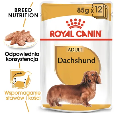 ROYAL CANIN ADULT Dachshund 85 g x12, odpowiednia konsystencja, wspomaganie stawów i kości, ilustracja psa rasy jamnik, karma mokra dla dorosłych psów