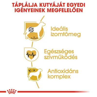 Táplálja kutyáját egyedi igényeinek megfelelően. Ideális izomtömeg, egészséges szívműködés, antioxidáns komplex.