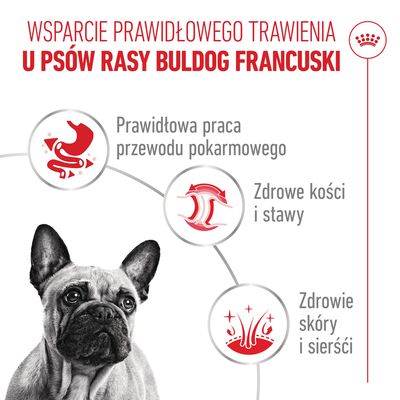 Royal Canin French Bulldog Loaf - 12 x 85 g