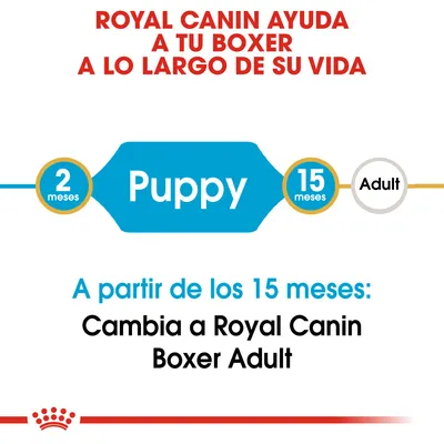 Royal Canin ayuda a tu Boxer desde cachorro (2 meses) hasta adulto (15 meses). A partir de los 15 meses: cambia a Royal Canin Boxer Adult.