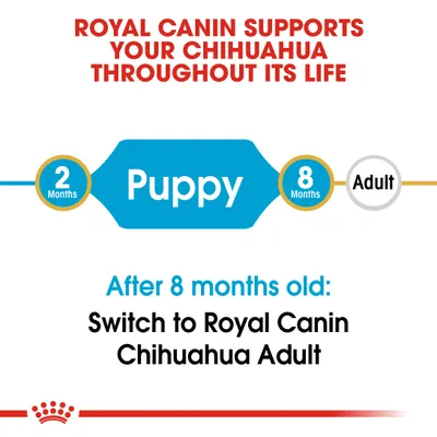 Royal Canin tukee chihuahuaasi koko elämän ajan. 2–8 kk: Puppy. Yli 8 kk: vaihda Royal Canin Chihuahua Adult -ruokaan. Teksti englanniksi.