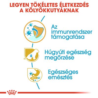 Legyen tökéletes életkezdés a kölyökkutyáknak. Az immunrendszer támogatása, húgyúti egészség megőrzése, egészséges emésztés.