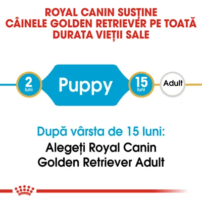 ROYAL CANIN susține câinele Golden Retriever pe toată durata vieții sale. După vârsta de 15 luni: Alegeți Royal Canin Golden Retriever Adult. Puppy 2 luni–15 luni, Adult.