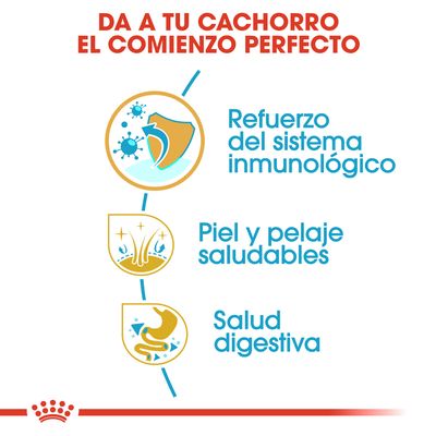 Da a tu cachorro el comienzo perfecto: refuerzo del sistema inmunológico, piel y pelaje saludables, salud digestiva. Texto e iconos informativos en español.