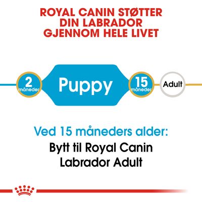 Royal Canin Labrador Retriever Puppy