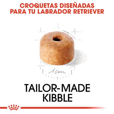Croquetas diseñadas para tu Labrador Retriever. Imagen de una croqueta con diámetro de 1 cm. Texto: TAILOR-MADE KIBBLE.