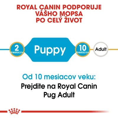 Royal Canin podporuje vášho mopsa po celý život. Puppy od 2 do 10 mesiacov, potom prejdite na Royal Canin Pug Adult od 10 mesiacov veku.