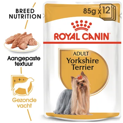 Royal Canin Adult Yorkshire Terrier natvoer, 85g x12. Tekst: Breed Nutrition, Aangepaste textuur, Gezonde vacht. Afbeelding van voer en Yorkshire Terrier hond.