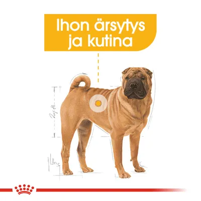 Kuva koirasta, jonka kyljessä korostettu alue. Yläpuolella teksti: Ihon ärsytys ja kutina.