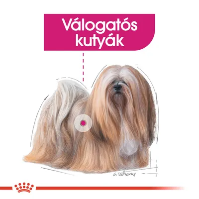 Válogatós kutyák – felirat egy hosszú szőrű, világosbarna és fehér kutya illusztrációja felett, Royal Canin márkajelzéssel alul.