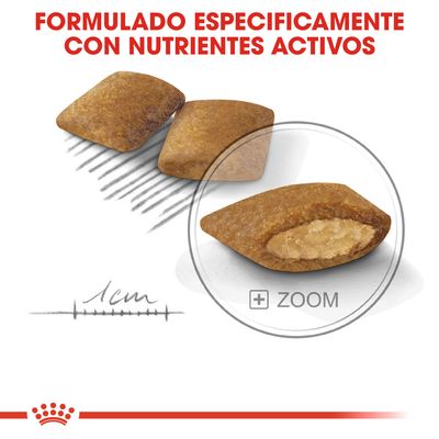 Pienso con interior visible, tamaño aproximado 1 cm. Texto: Formulado específicamente con nutrientes activos.