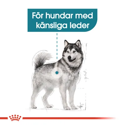 Text: För hundar med känsliga leder. Illustration av en hund med markering vid höften.