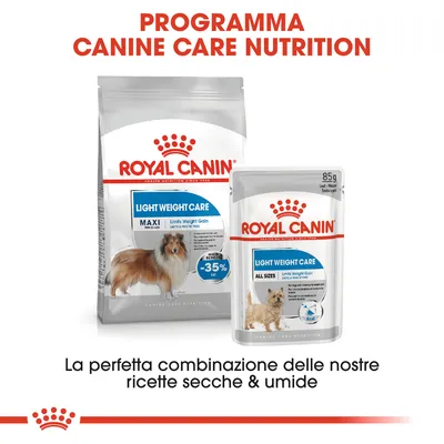 ROYAL CANIN Light Weight Care, confezione secca MAXI e bustina umida ALL SIZES, programma Canine Care Nutrition. Testo: la perfetta combinazione delle nostre ricette secche & umide.