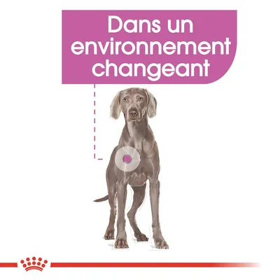 Texte : Dans un environnement changeant. Illustration d’un chien avec un cercle sur l’abdomen, logo Royal Canin en bas.