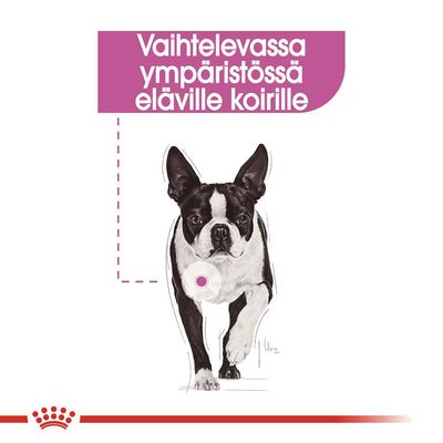 Teksti: Vaihtelevassa ympäristössä eläville koirille. Kuvassa mustavalkoinen koira kävelee eteenpäin, alareunassa punainen kruunuviiva.