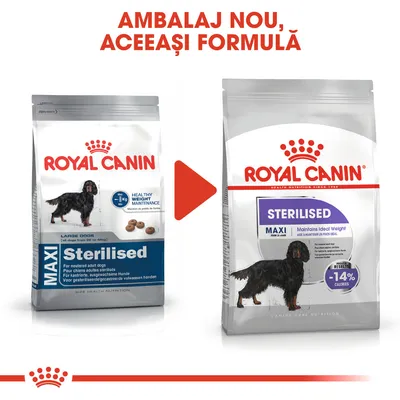 Imagine cu două pungi de hrană pentru câini Royal Canin Maxi Sterilised, vechiul și noul ambalaj. Text sus: Ambalaj nou, aceeași formulă.
