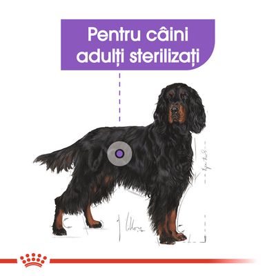 Text vizibil: Pentru câini adulți sterilizați, deasupra unei ilustrații cu un câine negru. Textul indică destinația produsului pentru câini adulți sterilizați.